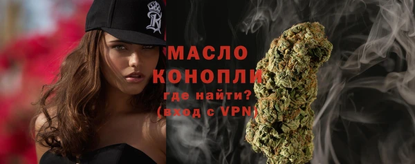 МДПВ Вяземский
