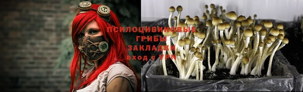 МДПВ Вяземский