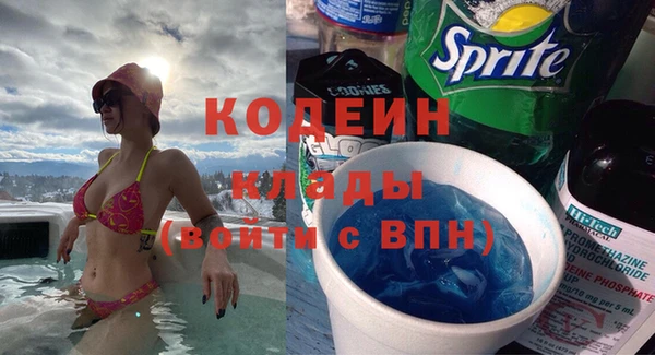 МДПВ Вяземский