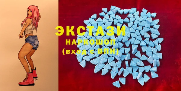 МДПВ Вяземский