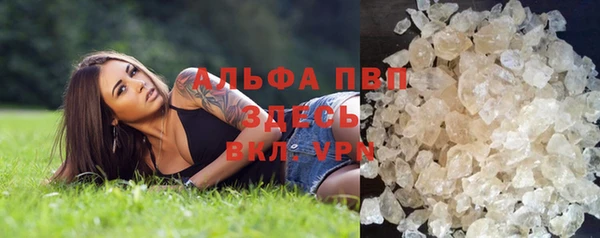 МДПВ Вяземский